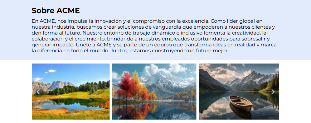 Contenedor de cuerpo