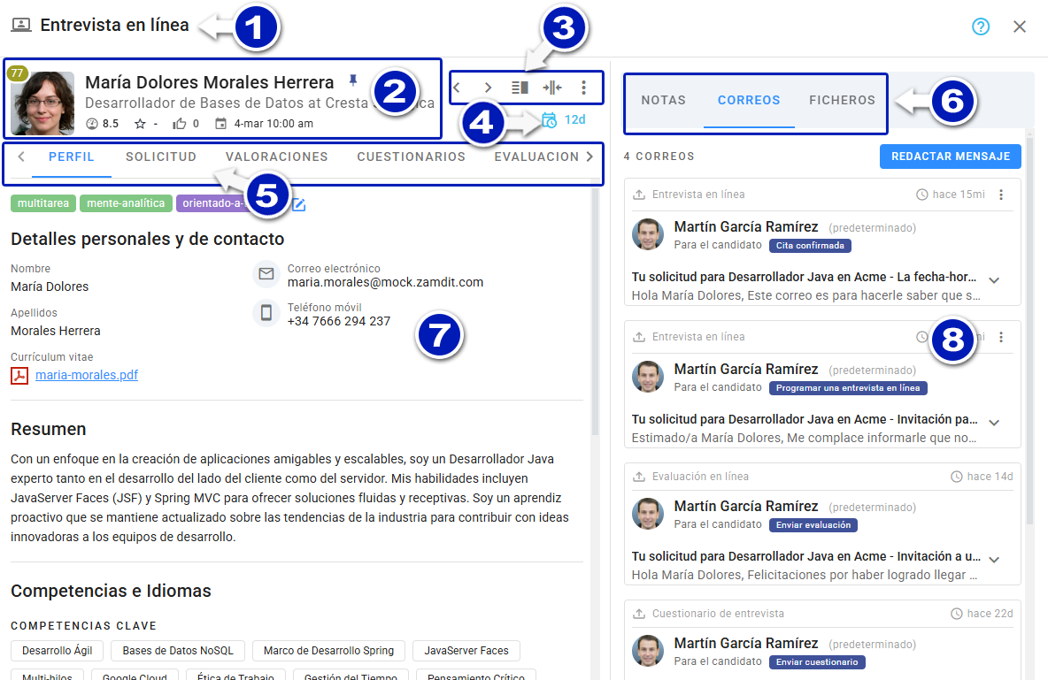 Candidate Details overview