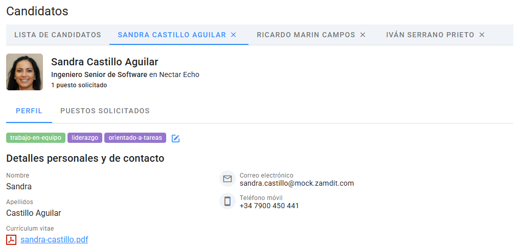 Detalles de candidatos en nuevas pestañas